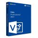 Microsoft Visio Professional 2021