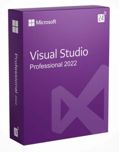 Microsoft Visual Studio 2022 Professional