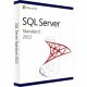 Microsoft SQL Server 2022 Standard