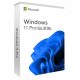 Microsoft Windows 11 Pro 64Bit HUN