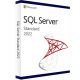 Windows SQL standard 2022